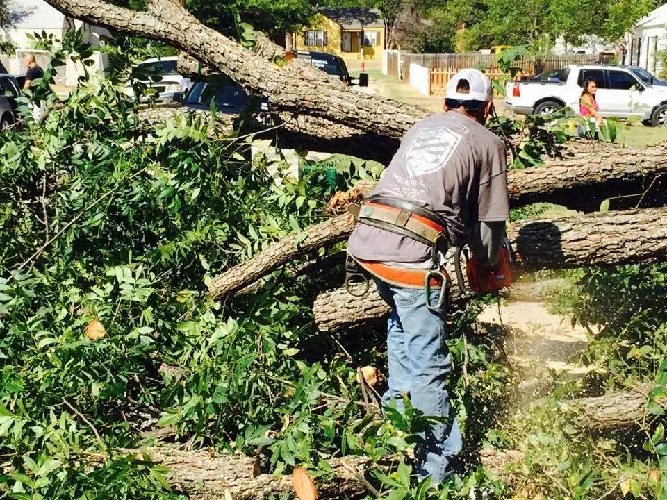 Crew member cutting up limbs